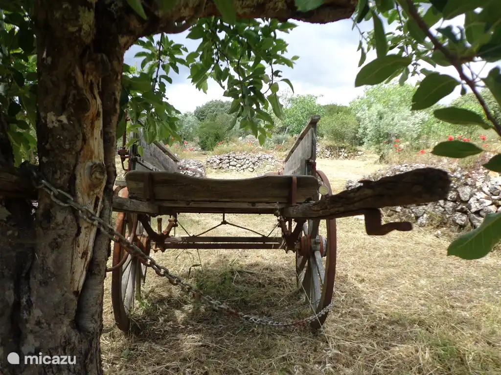 Alter Eselskarren auf dem Grundstück des Ferienhauses.
