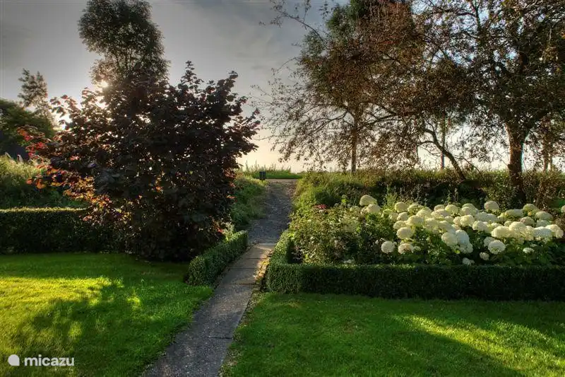 côté/arrière de la maison et derrière la maison, vers la rue.