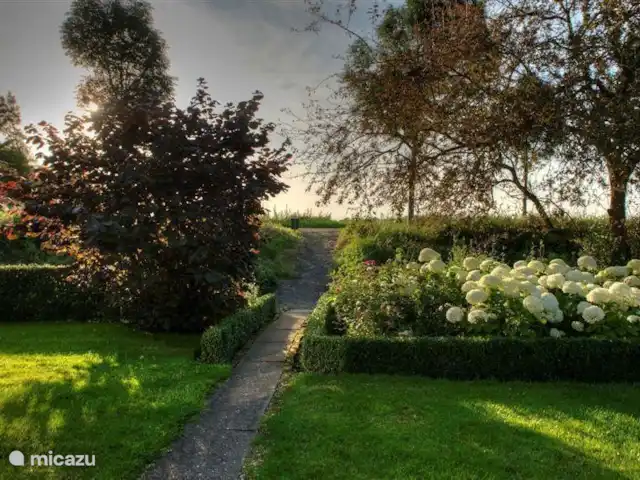Hof Statendijk | Pays-Bas, Zélande, IJzendijke - ferme côté/arrière de la maison et derrière la maison, vers la rue.