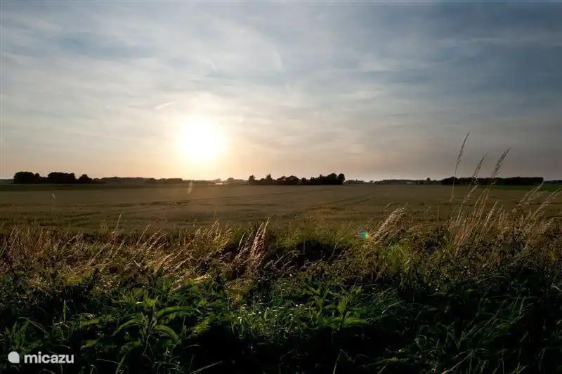 vue du jardin dans nos champs.
