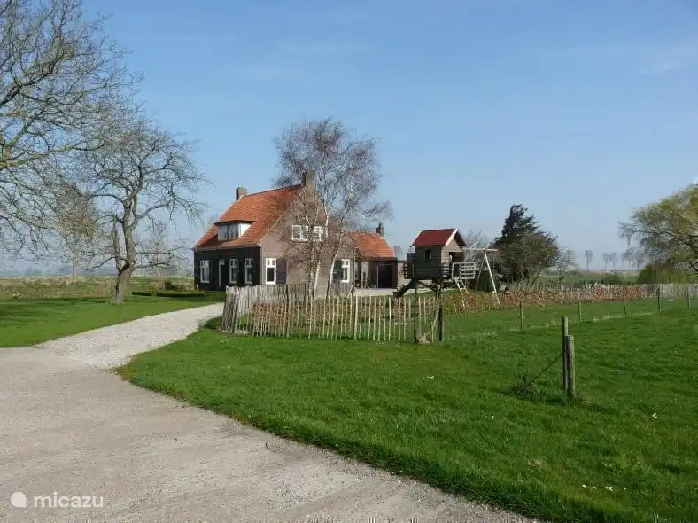 Le pâturage des chevaux à la maison (en partie visible).