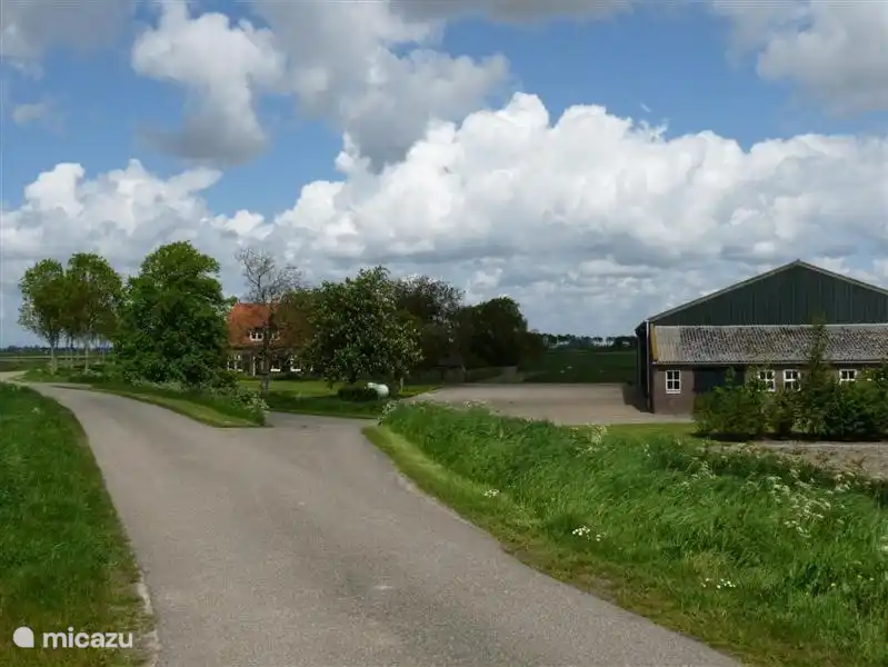 L'allée de la ferme.