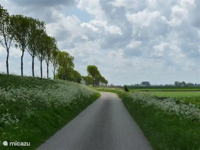 Le Statendijk au printemps.