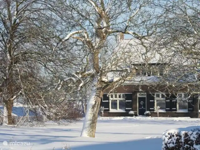 Hof Statendijk | Pays-Bas, Zélande, IJzendijke - ferme Maison en hiver.