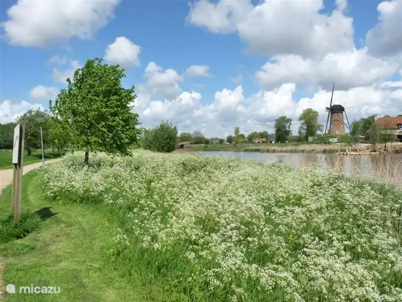 Ruisseau Molen à Schoondijke