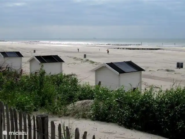 Hof Statendijk | Pays-Bas, Zélande, IJzendijke - ferme plage
