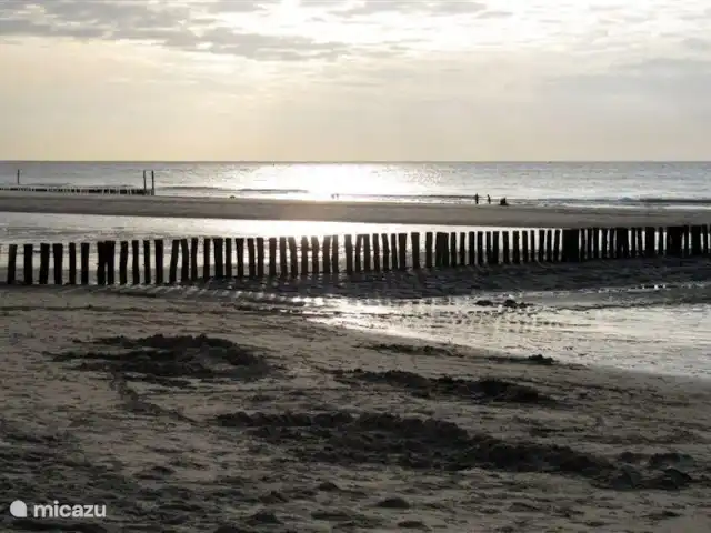 Hof Statendijk | Pays-Bas, Zélande, IJzendijke - ferme plage