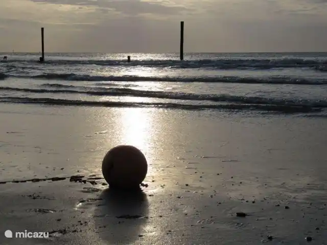 Hof Statendijk | Pays-Bas, Zélande, IJzendijke - ferme plage
