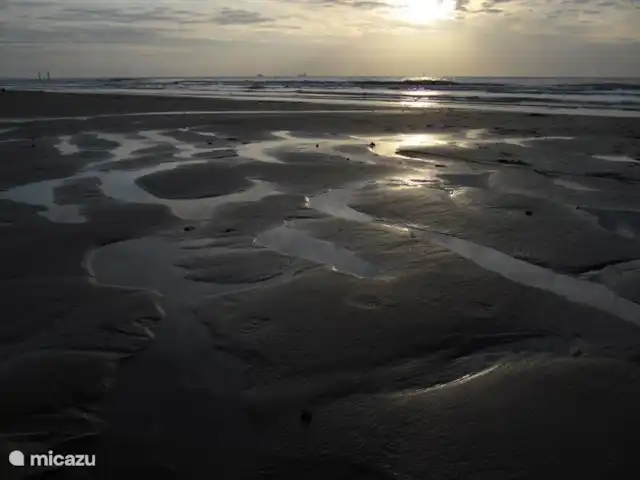 Hof Statendijk | Pays-Bas, Zélande, IJzendijke - ferme plage