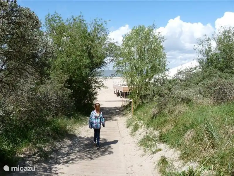 Digue / dune près de la plage de Breskens