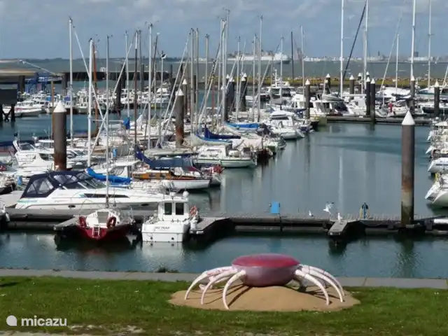 Hof Statendijk | Pays-Bas, Zélande, IJzendijke - ferme Marina Breskens