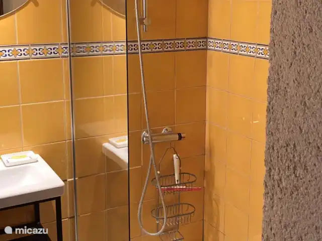 landhuis / kasteel huren in Frankrijk, Lot, Pern – Château Fabre Vieux Badkamer - Douche de 120 x 70 cm
Salle de bain - Douche de 120 x 70 cm