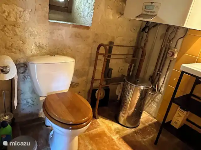 landhuis / kasteel huren in Frankrijk, Lot, Pern – Château Fabre Vieux Badkamer op de begane grond - WC en wasbak
Salle de bain au rez-de-chaussée - WC et lavabo