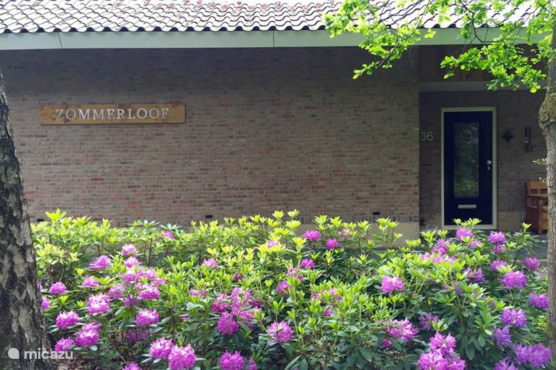 Vakantiehuis Nederland, Overijssel, Ootmarsum Vakantiehuis Zommerloof