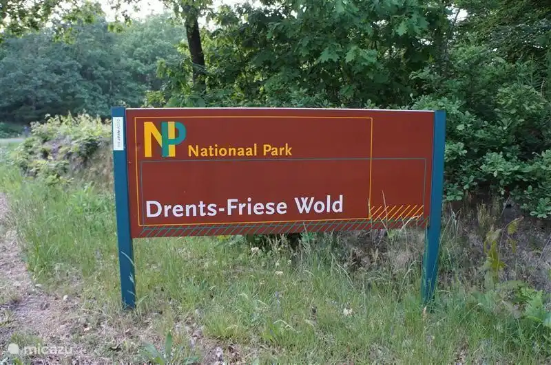 Drents-Friese Wold a protected area