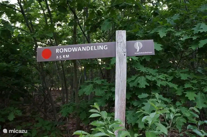 Drenthe-Friese wold, you can simply wander but also follow a trail