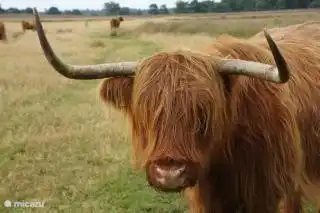 So you can encounter