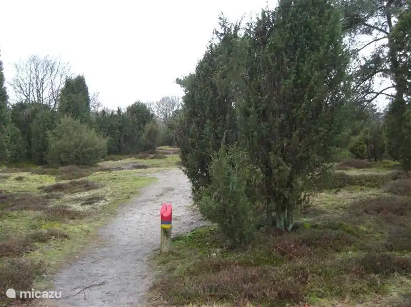 Schöne Spaziergänge in unmittelbarer Nähe des Parks.