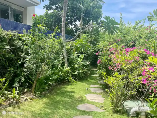 Residencia de la colina de Samuh en Indonesia, Bali, Amlapura - villa El jardín delantero