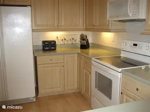 villa huren in Verenigde Staten, Florida, Spring Hill – Villa met zwembad in Spring Hill Amerikaanse koelkast met ijsblokjesmachine.