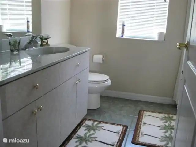 villa huren in Verenigde Staten, Florida, Spring Hill – Villa met zwembad in Spring Hill badkamer met ligbad