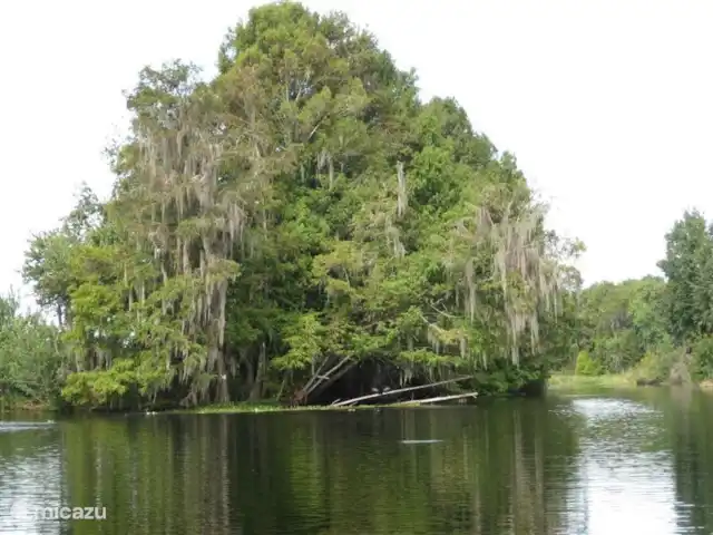 villa huren in Verenigde Staten, Florida, Spring Hill – Villa met zwembad in Spring Hill Voor een airboatride hoef je niet naar de Everglades. In de nabije omgeving kan dat ook.