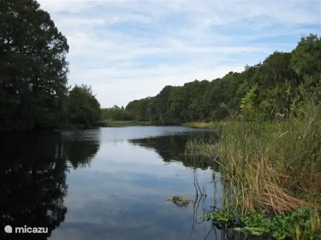villa huren in Verenigde Staten, Florida, Spring Hill – Villa met zwembad in Spring Hill De ongerepte natuur is verbluffend