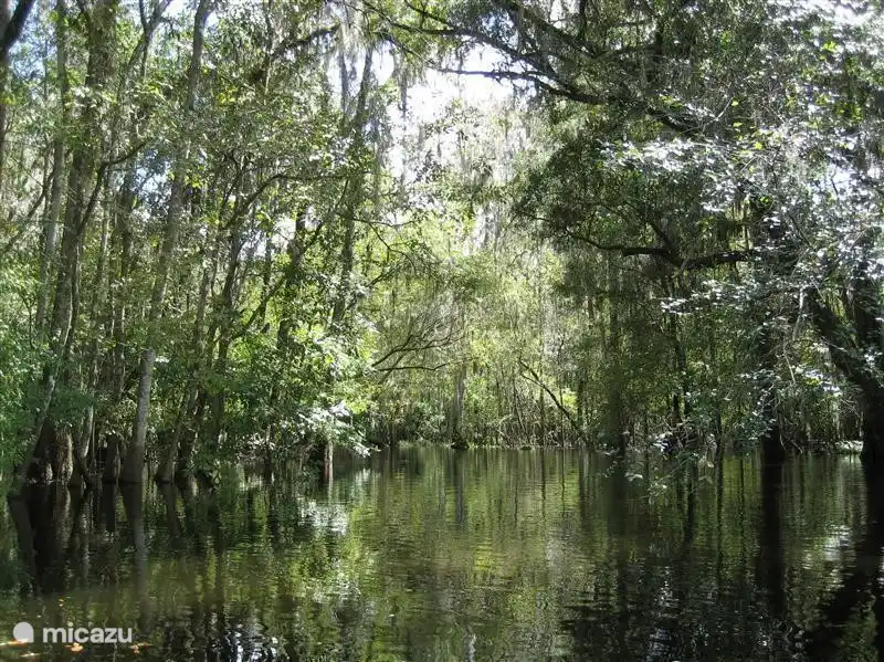 zwemmen is hier niet aan te raden:)