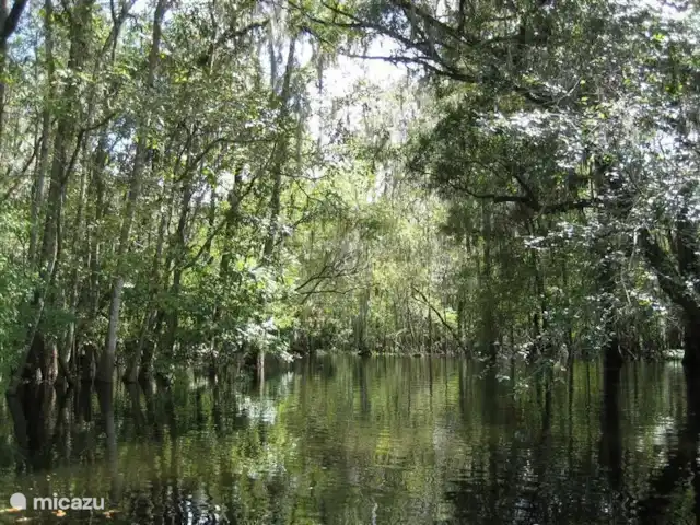 villa huren in Verenigde Staten, Florida, Spring Hill – Villa met zwembad in Spring Hill zwemmen is hier niet aan te raden:)