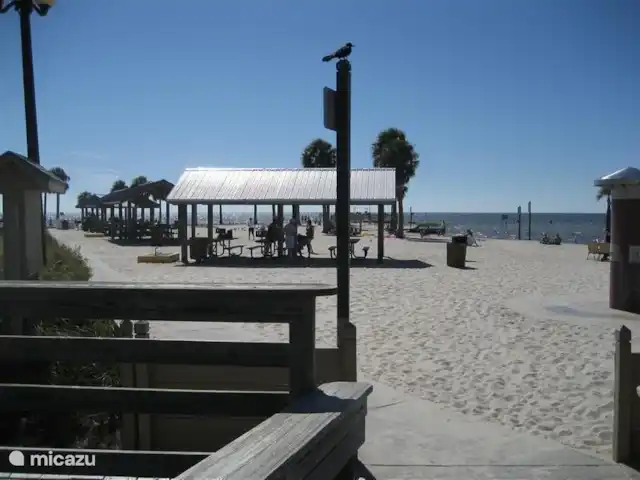 villa huren in Verenigde Staten, Florida, Spring Hill – Villa met zwembad in Spring Hill Pine Island is slechts 20 min. rijden en een leuk strand om te vertoeven, met kleedhokjes en douches. Ook is er een kiosk voor eten en drinken.