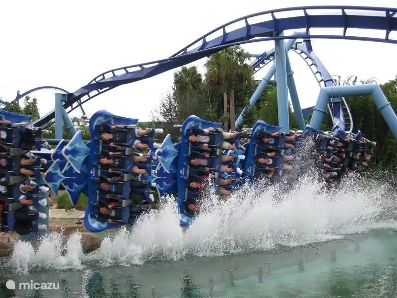 Wilt u na de rust van de natuur eens wat anders: Bush Gardens is 45 min rijden; Seaworld en Orlando 1,5 uur. 