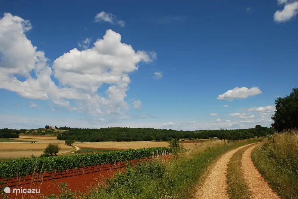 Vakantiehuis Wistria in Porec, Istrië huren? - Micazu.nl