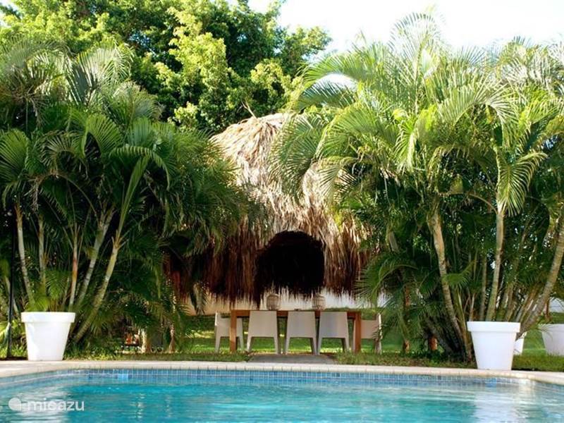 Vakantiehuis Curaçao, Curacao-Midden, Julianadorp Villa Tropenvilla
