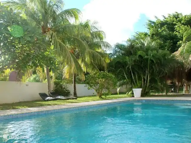 Villa tropicale | Curaçao, Curaçao-Centre, Julianadorp - villa Piscine de 5 par 10 mètres