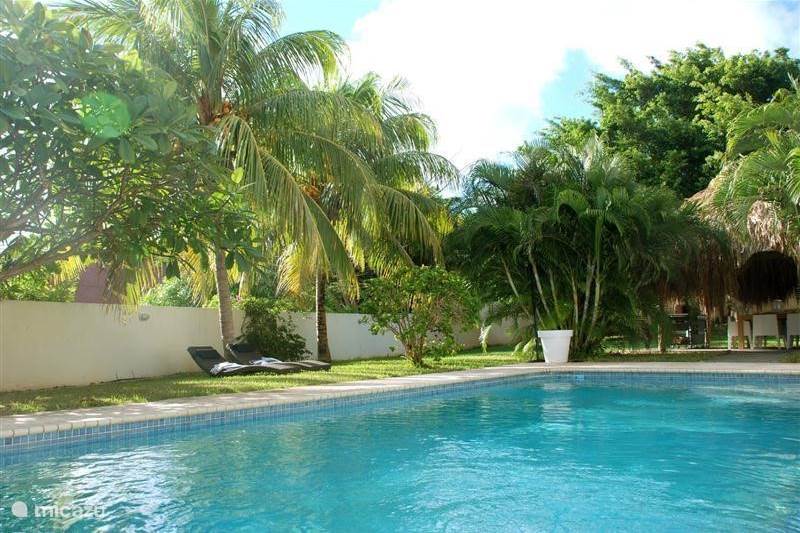 Vacation rental Curaçao, Curacao-Middle, Julianadorp Villa Tropenvilla