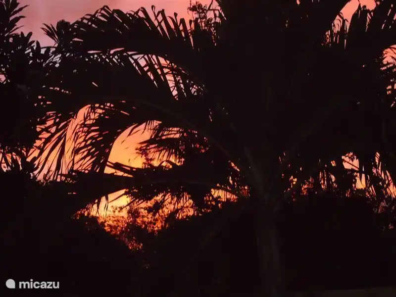 Ansicht mit Sonnenuntergang im Garten.