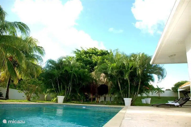 Große Sonnenterrasse rund um den Pool.