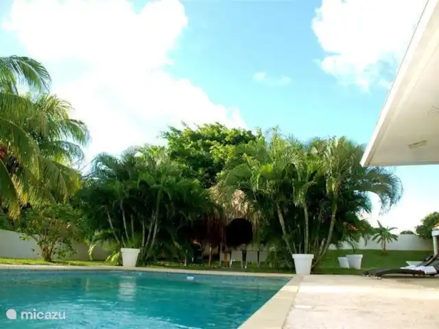Villa tropicale | Curaçao, Curaçao-Centre, Julianadorp - villa Grande terrasse ensoleillée autour de la piscine.