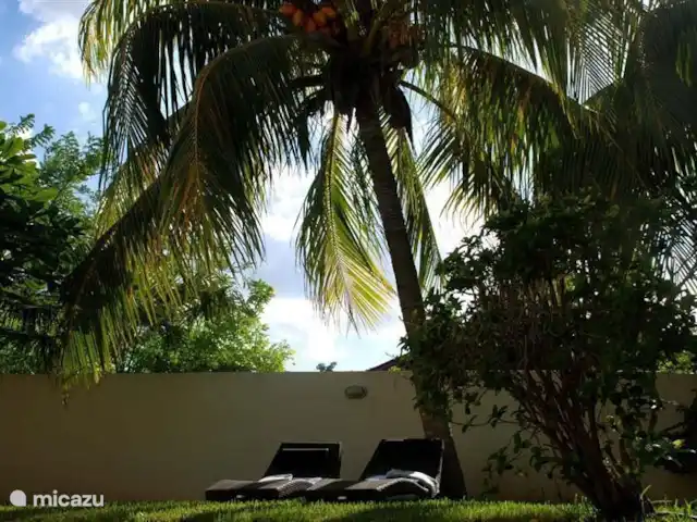 Villa tropicale | Curaçao, Curaçao-Centre, Julianadorp - villa Charmant à l'ombre sous les palmiers