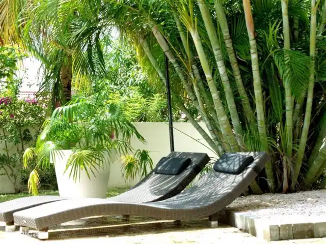 Villa tropicale | Curaçao, Curaçao-Centre, Julianadorp - villa Transats sous les palmiers