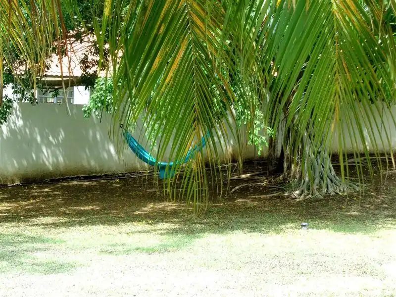 Feine Hängematte unter dem großen schattigen tropischen Baum entspannen Sie sich in