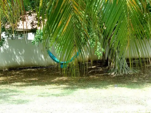 Villa tropicale | Curaçao, Curaçao-Centre, Julianadorp - villa Joli hamac pour se détendre sous le grand arbre tropical ombragé