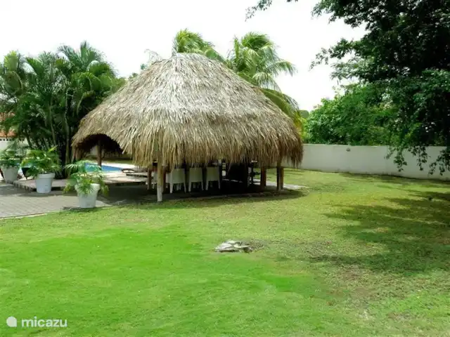 Villa tropicale | Curaçao, Curaçao-Centre, Julianadorp - villa Cour arrière avec palapa