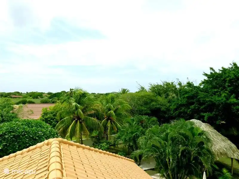 Der tropische Villa im grünen Julianadorp