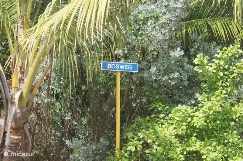 Bosweg ist die grünste und schönste Avenue Julianadorp