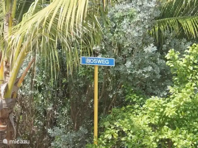 Villa tropicale | Curaçao, Curaçao-Centre, Julianadorp - villa Le Bosweg est l'avenue la plus verte et la plus belle de Julianadorp
