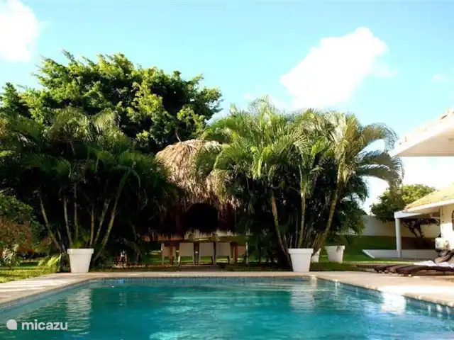 Villa tropicale | Curaçao, Curaçao-Centre, Julianadorp - villa La Villa Tropicale est une grande villa individuelle coloniale avec une piscine privée merveilleusement grande (5 mètres sur 10) dans un grand jardin tropical spacieux de 2000 m2 entièrement clos.