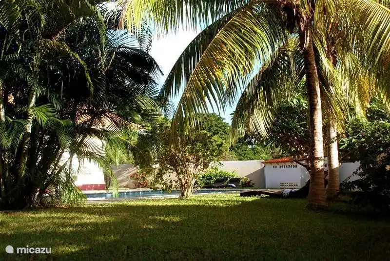 Die Villa ist freistehend und befindet sich auf einem großen ummauerten Grundstück von über 2000m2. Der große Garten bietet Privatsphäre zum Sonnenbaden und Genießen. Von den großen privaten Pool Der Garten ist ein großer Spielplatz für Kinder.