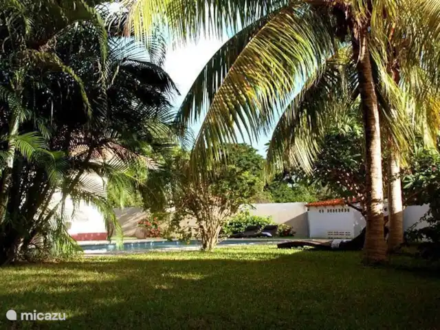 Villa tropicale | Curaçao, Curaçao-Centre, Julianadorp - villa La villa est indépendante et le jardin vous offre toute l'intimité dont vous avez besoin pour bronzer et profiter de la grande piscine privée. Le jardin est une grande aire de jeux pour les enfants.