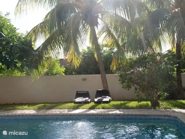 Villa tropicale | Curaçao, Curaçao-Centre, Julianadorp - villa Transats sous les palmiers
